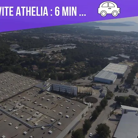 Ciotadina - Host Provence