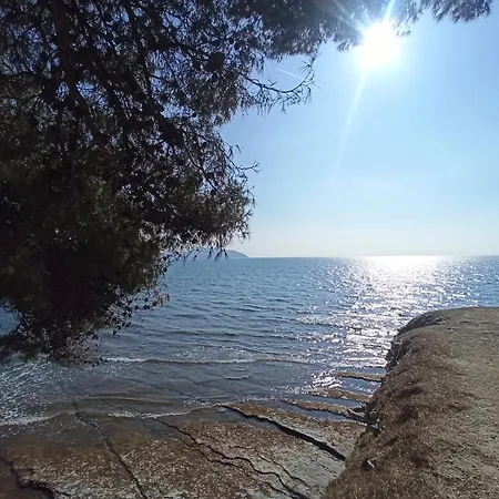 Ciotadina - Host Provence * לה קיוטאט