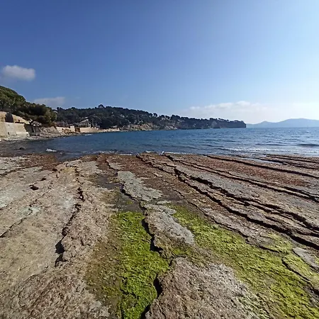 Ciotadina - Host Provence